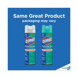 CLOROX DISINFECTING SPRAY 19 OZ - KILLS 99.9% OF GERMS - ELIMINATES ODORS